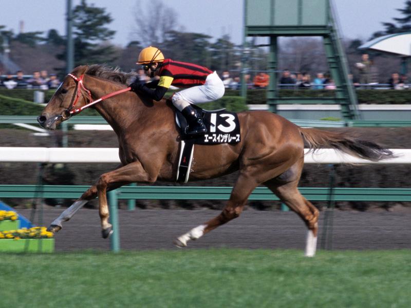 エースインザレース メイン画像1